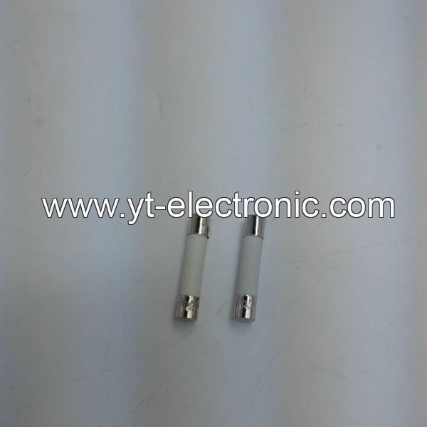 20A CERAMIC FUSE 60mm .30mm