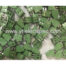 2 Pin 2.54mm Pitch